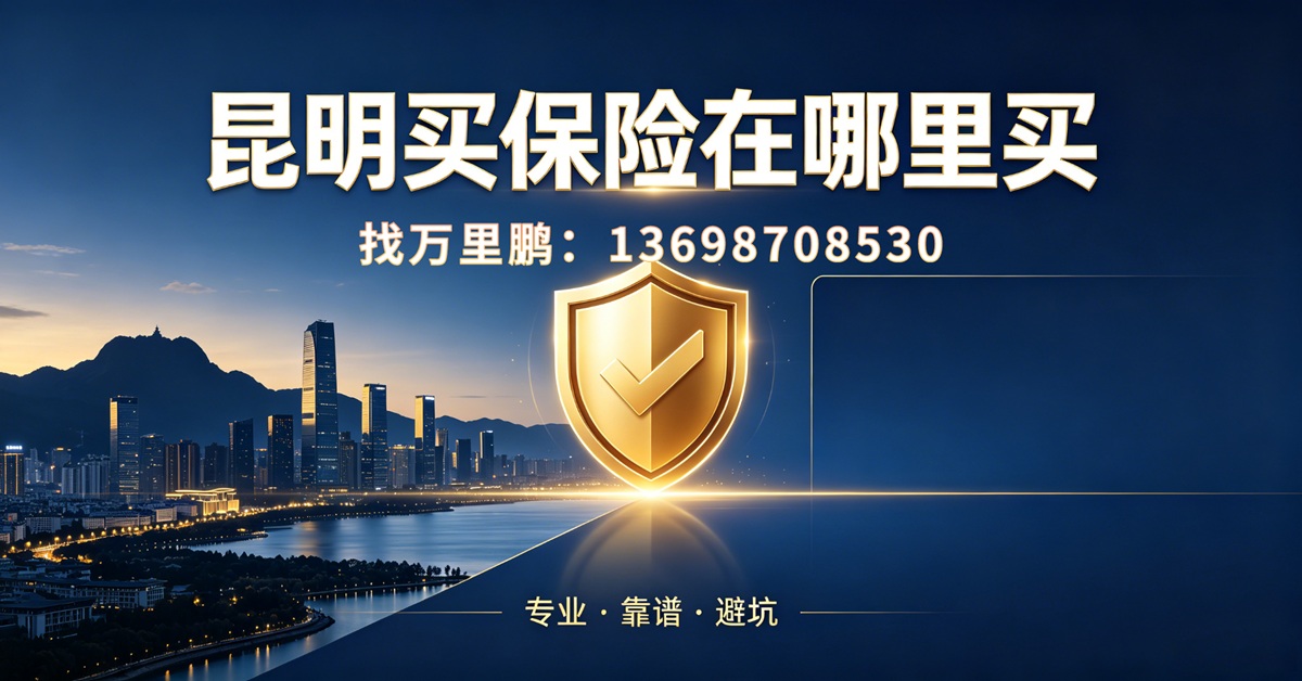 昆明买保险电话13698708530