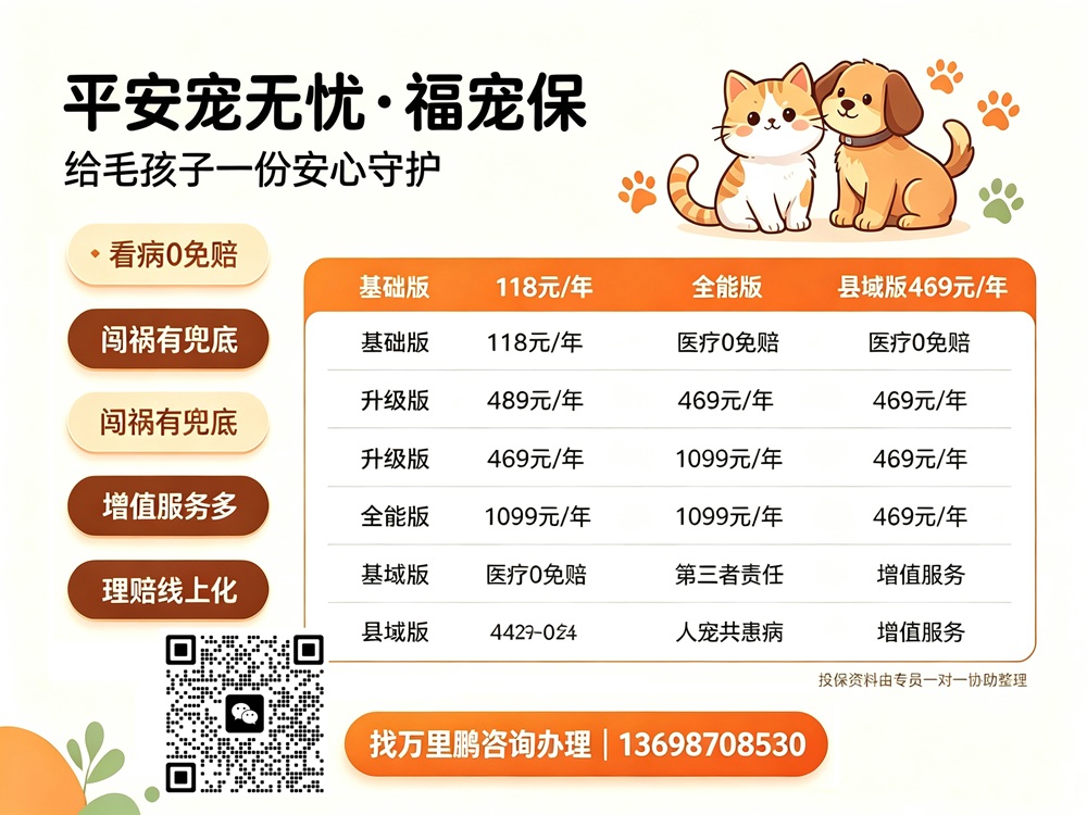 宠物险1.jpg